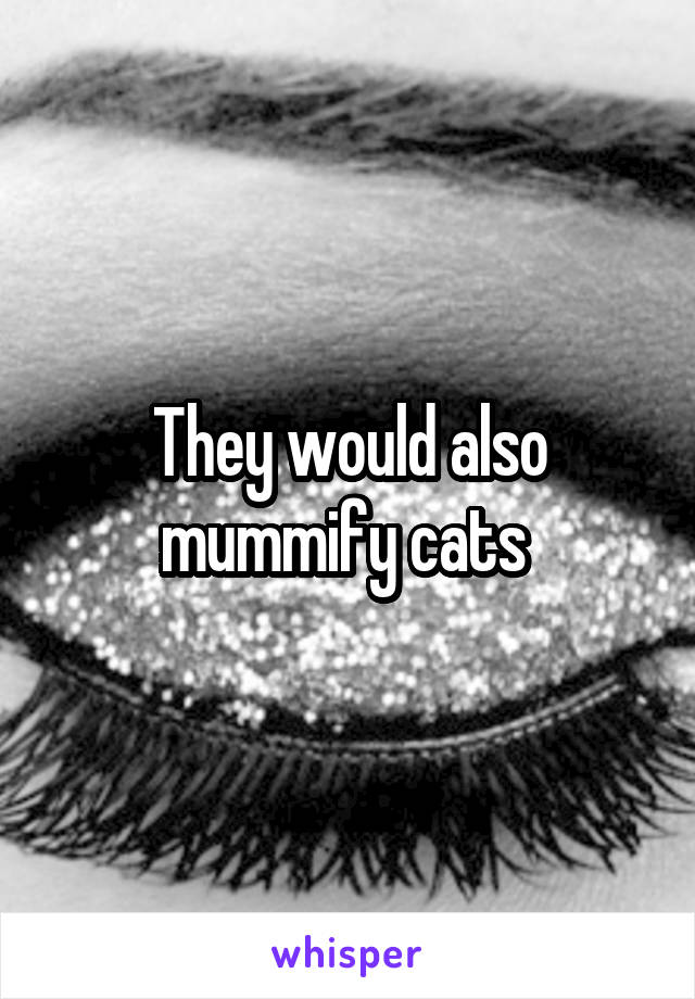 They would also mummify cats 