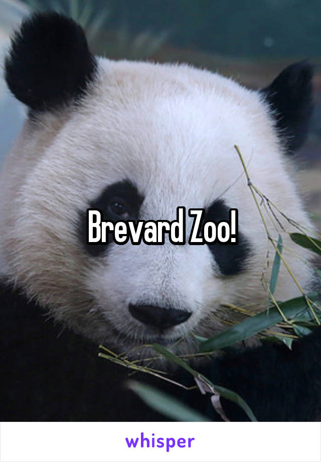 Brevard Zoo!