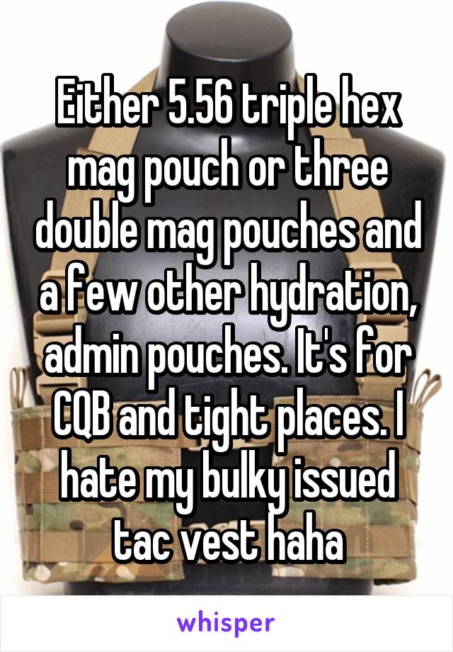 Either 5.56 triple hex mag pouch or three double mag pouches and a few other hydration, admin pouches. It's for CQB and tight places. I hate my bulky issued tac vest haha