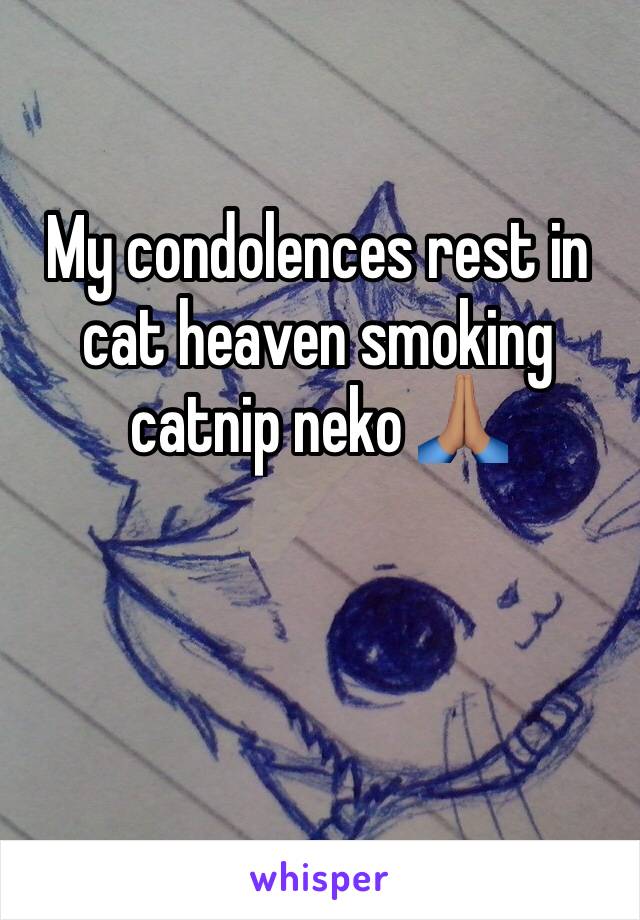 My condolences rest in cat heaven smoking catnip neko 🙏🏽