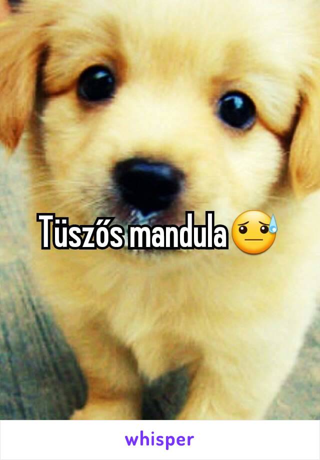 Tüszős mandula😓