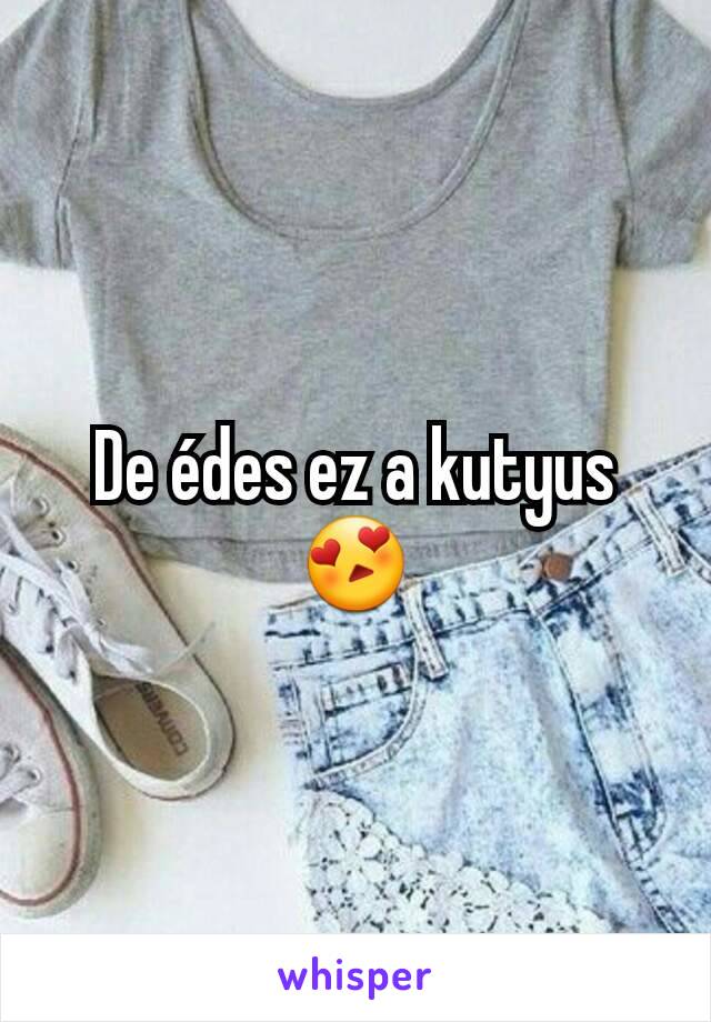 De édes ez a kutyus😍