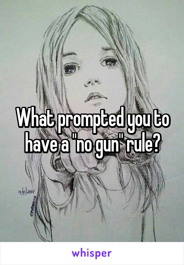 What prompted you to have a "no gun" rule?