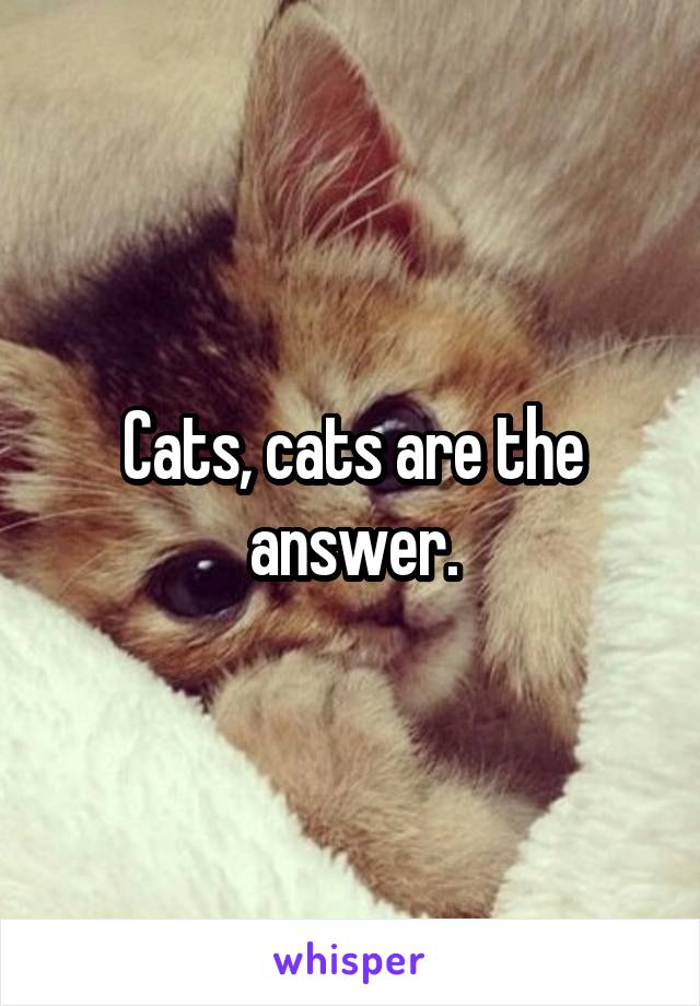 Cats, cats are the answer.