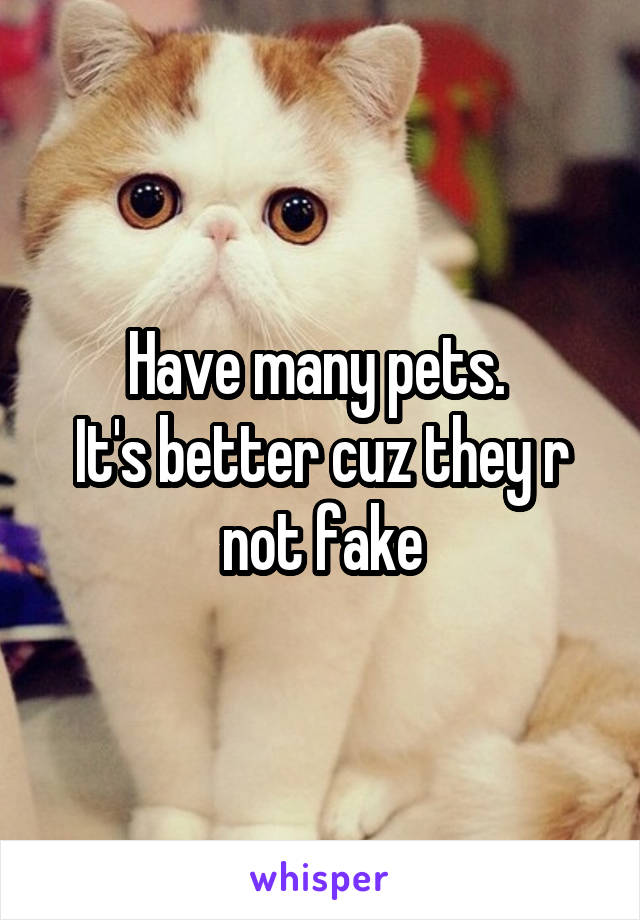 Have many pets. 
It's better cuz they r not fake