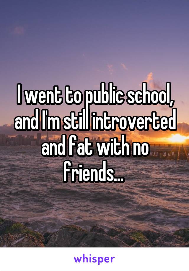 I went to public school, and I'm still introverted and fat with no friends... 