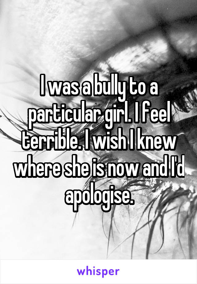I was a bully to a particular girl. I feel terrible. I wish I knew where she is now and I'd apologise.