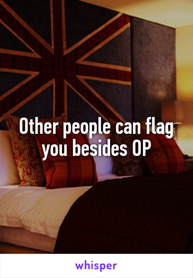 Other people can flag you besides OP