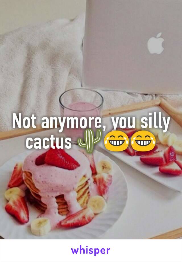 Not anymore, you silly cactus 🌵😂😂