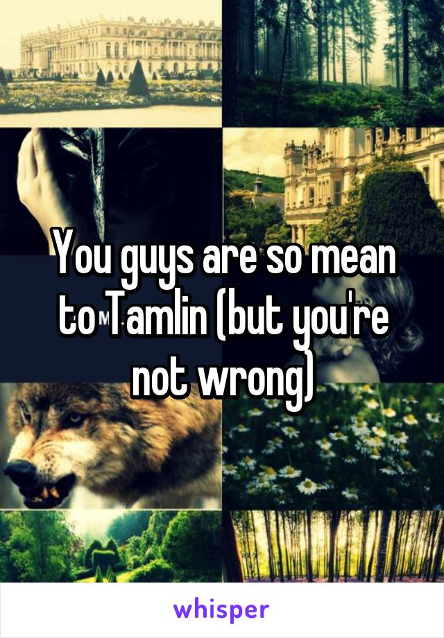 You guys are so mean to Tamlin (but you're not wrong)