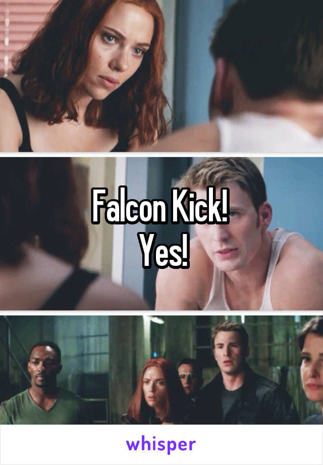 Falcon Kick! 
Yes!