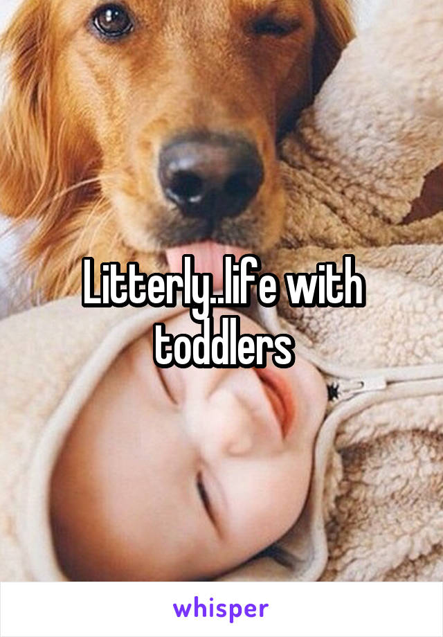 Litterly..life with toddlers