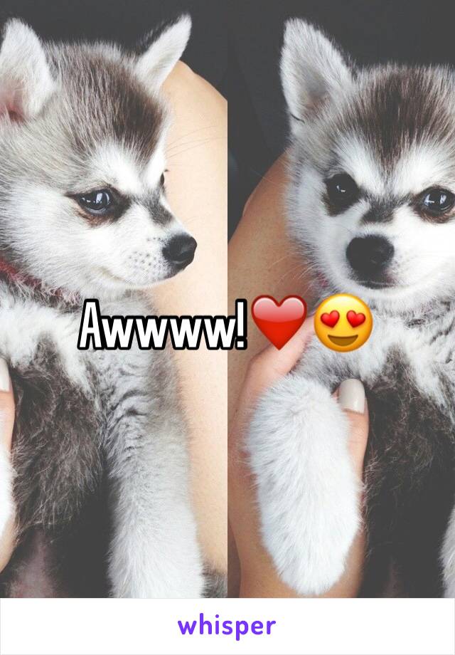 Awwww!❤️😍