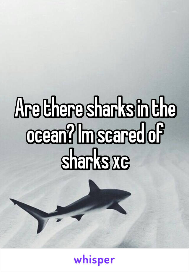 Are there sharks in the ocean? Im scared of sharks xc