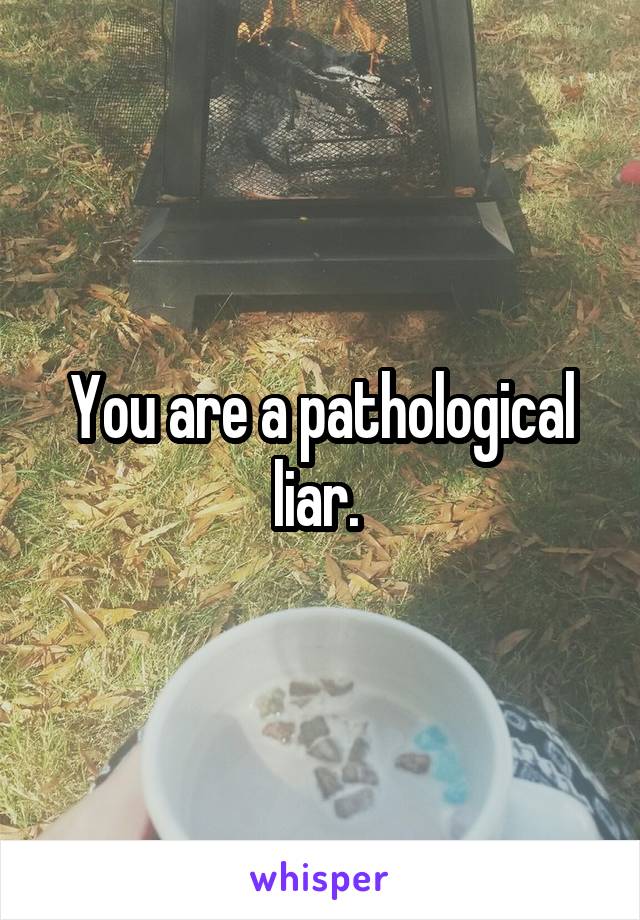 You are a pathological liar. 