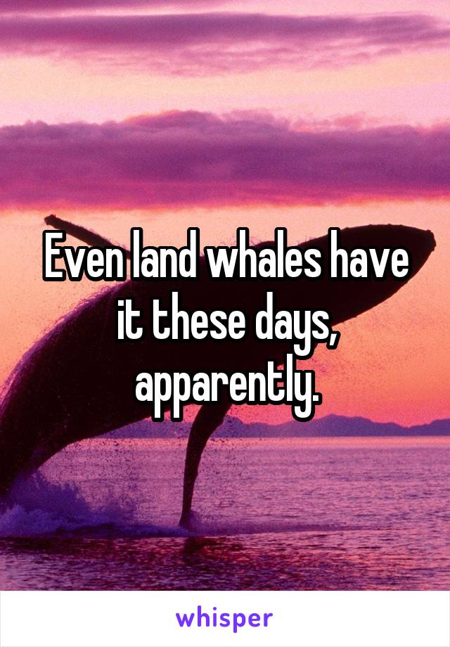 Even land whales have it these days, apparently.