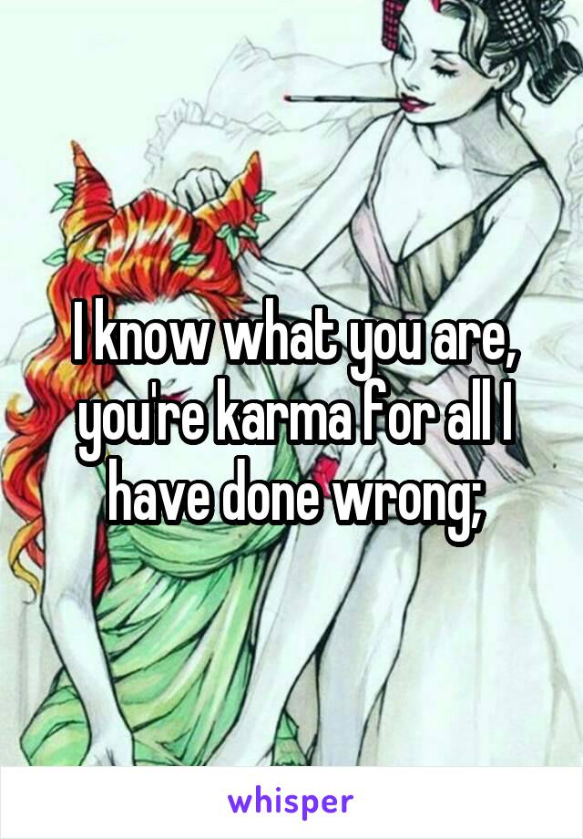 I know what you are, you're karma for all I have done wrong;