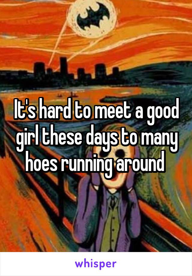 It's hard to meet a good girl these days to many hoes running around 