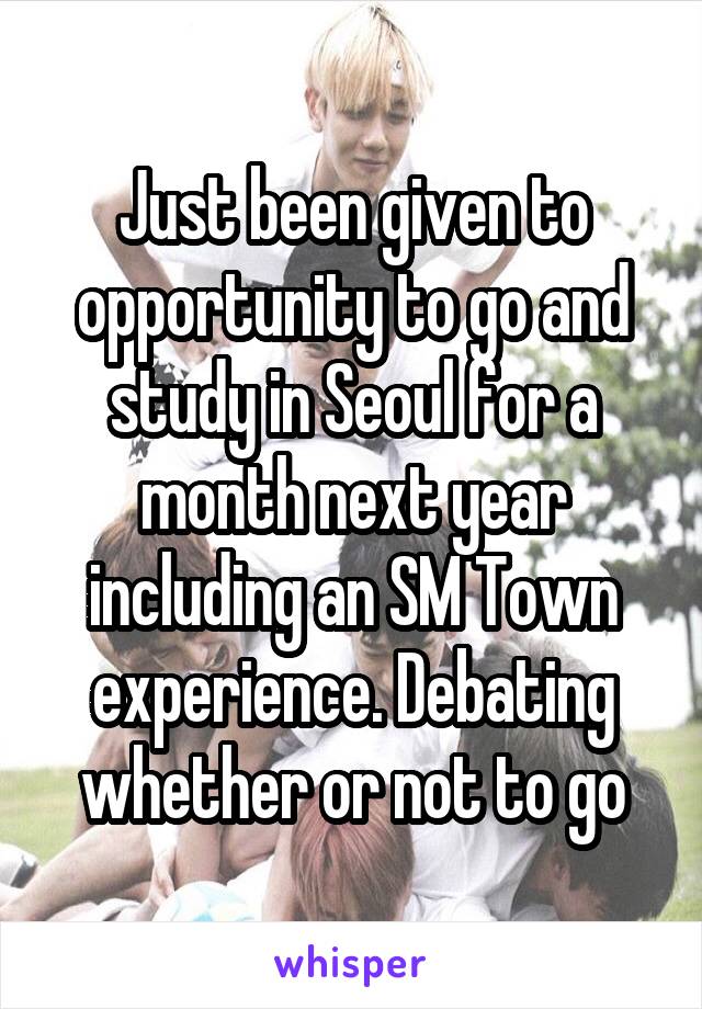 Just been given to opportunity to go and study in Seoul for a month next year including an SM Town experience. Debating whether or not to go