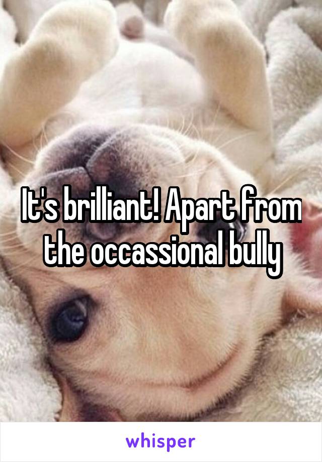 It's brilliant! Apart from the occassional bully