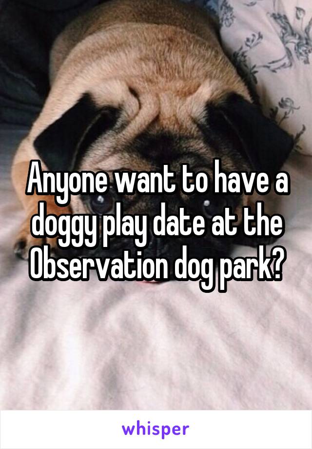 Anyone want to have a doggy play date at the Observation dog park?