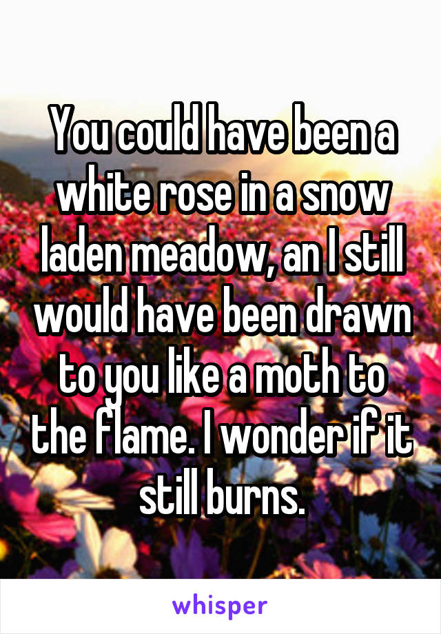 You could have been a white rose in a snow laden meadow, an I still would have been drawn to you like a moth to the flame. I wonder if it still burns.