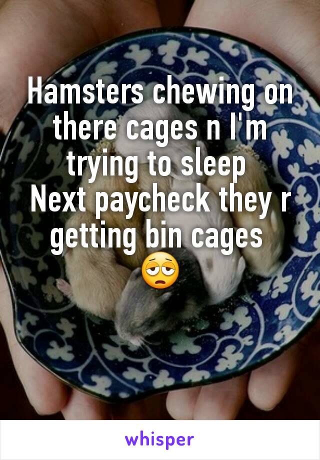 Hamsters chewing on there cages n I'm trying to sleep 
Next paycheck they r getting bin cages 
😩