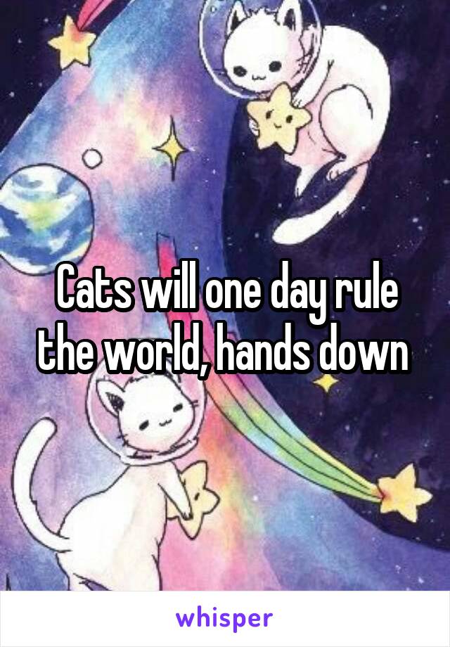 Cats will one day rule the world, hands down 