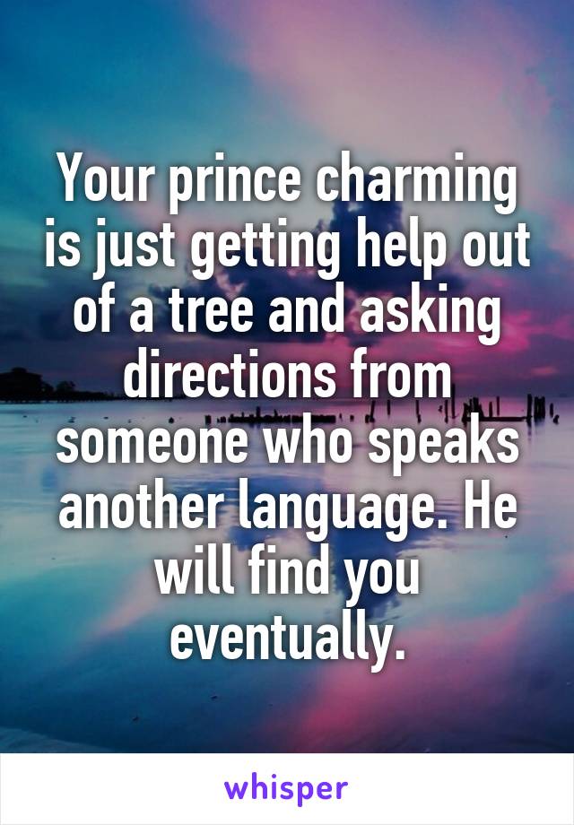 Your prince charming is just getting help out of a tree and asking directions from someone who speaks another language. He will find you eventually.