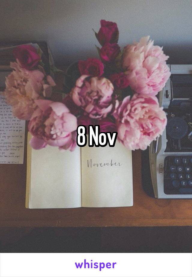 8 Nov