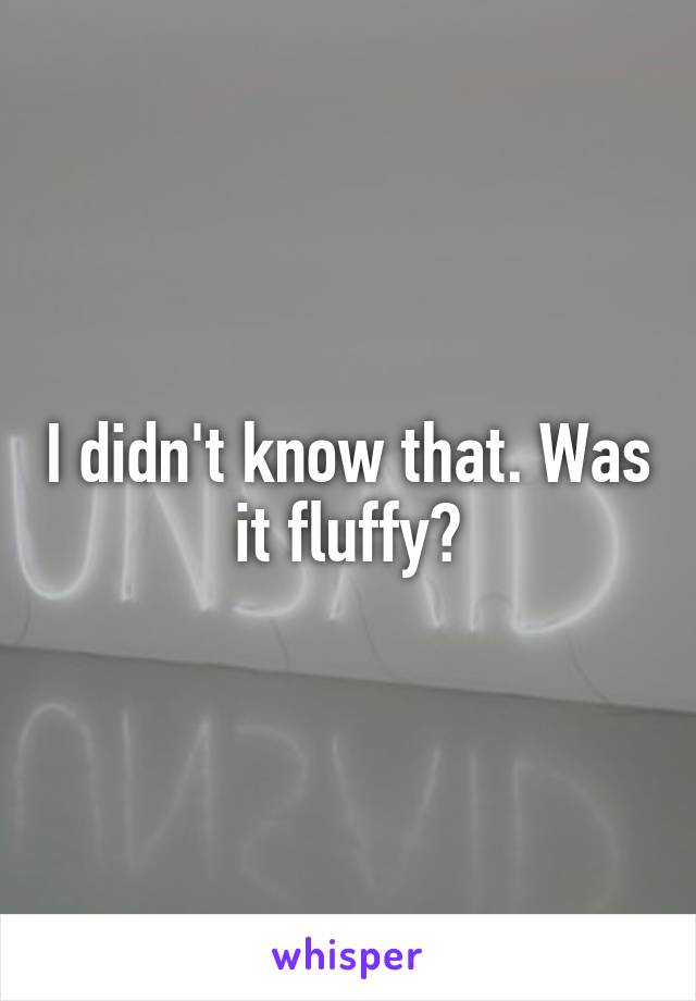 I didn't know that. Was it fluffy?