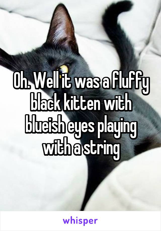 Oh. Well it was a fluffy black kitten with blueish eyes playing with a string