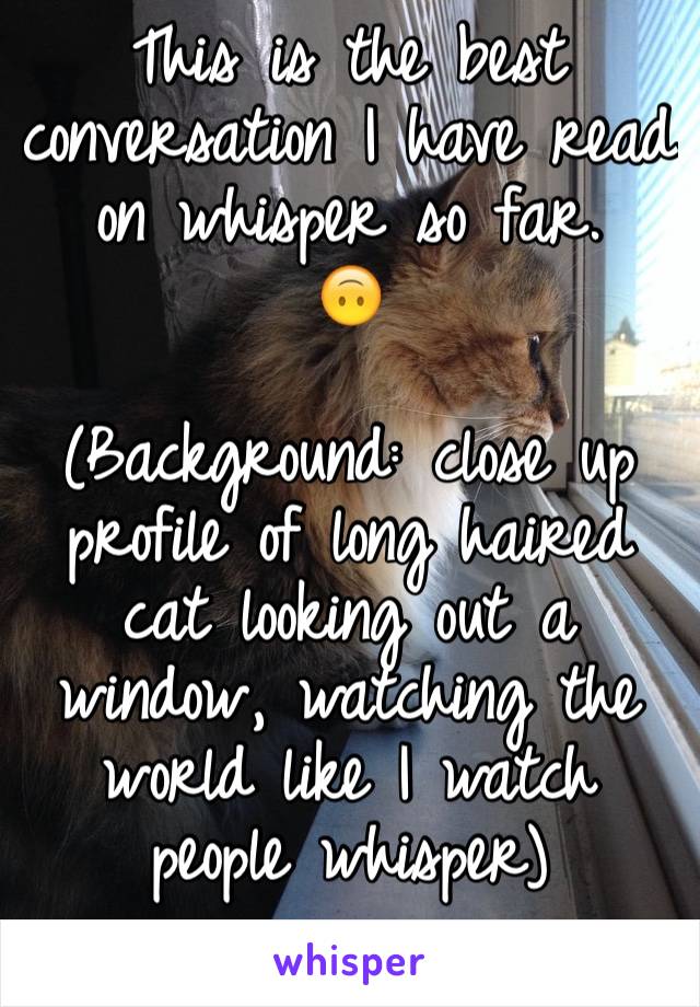 This is the best conversation I have read on whisper so far.
🙃

(Background: close up profile of long haired cat looking out a window, watching the world like I watch people whisper)