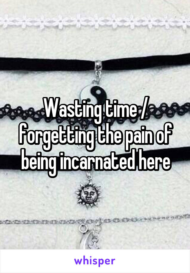 Wasting time / forgetting the pain of being incarnated here