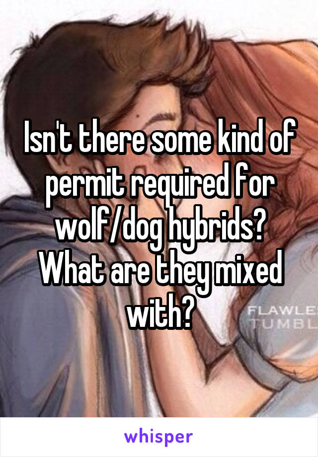 Isn't there some kind of permit required for wolf/dog hybrids?
What are they mixed with?