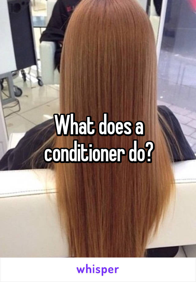 What does a conditioner do?