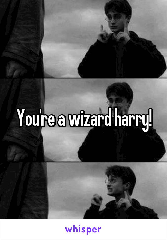 You're a wizard harry!