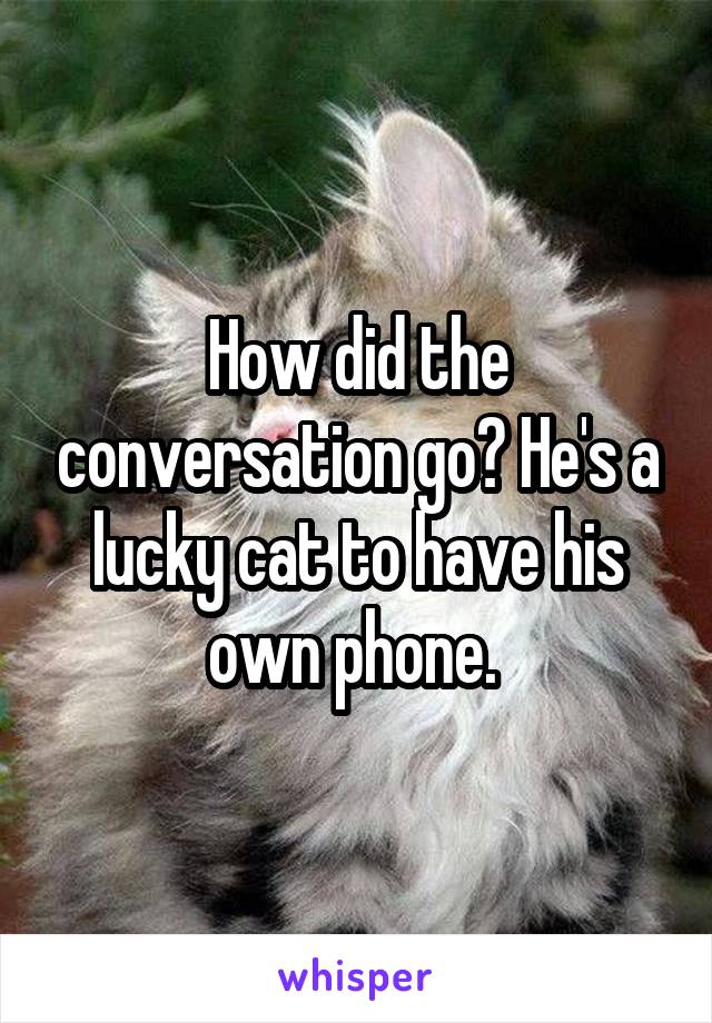 How did the conversation go? He's a lucky cat to have his own phone. 