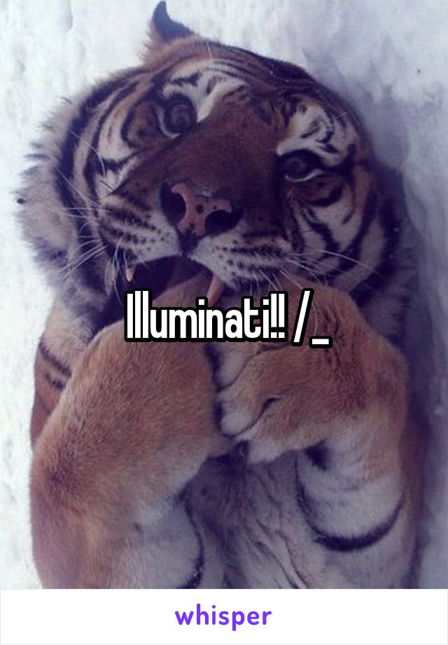 Illuminati!! /_\