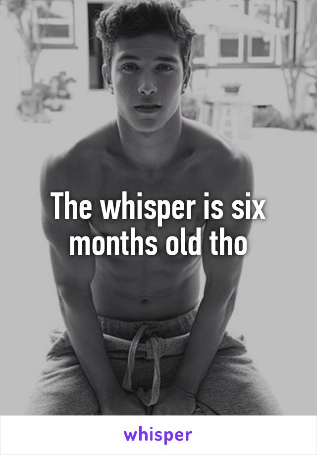 The whisper is six months old tho