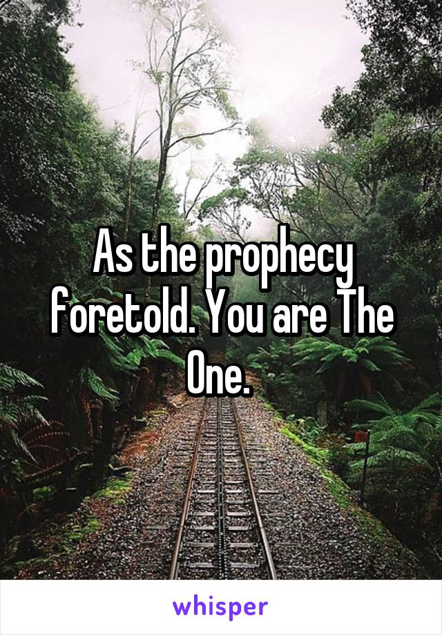 As the prophecy foretold. You are The One. 