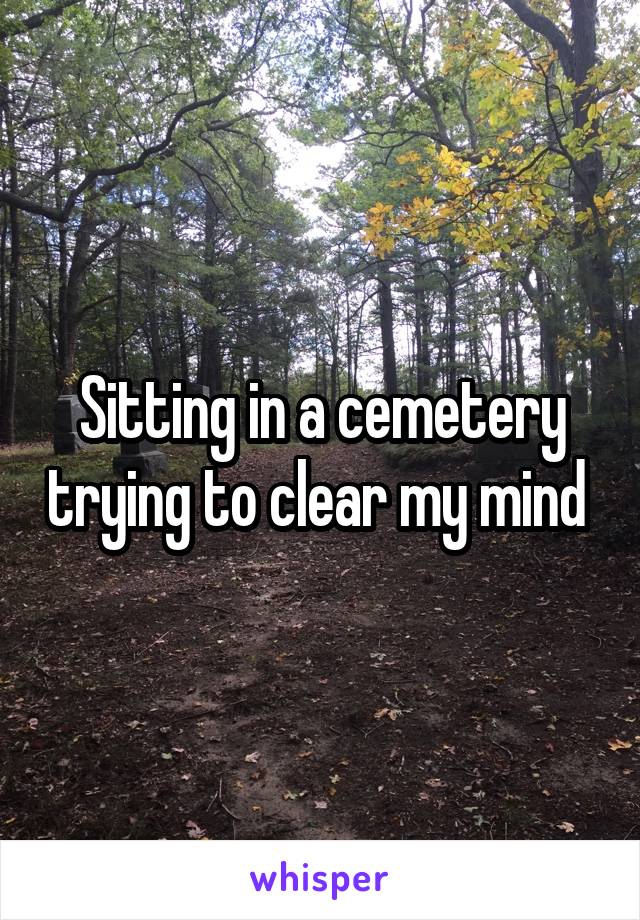 Sitting in a cemetery trying to clear my mind 