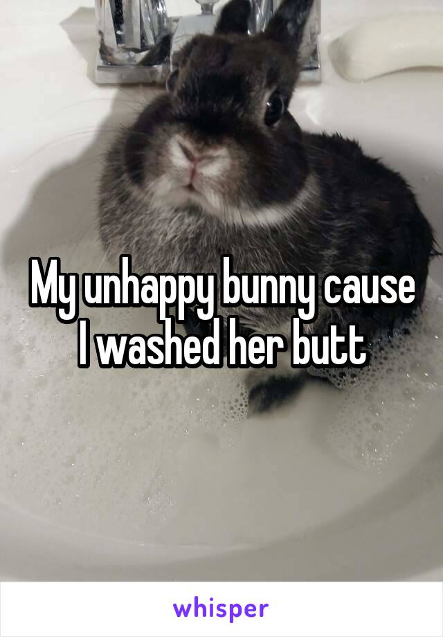 My unhappy bunny cause I washed her butt