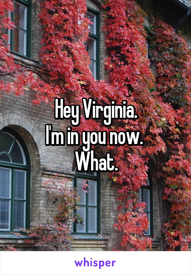 Hey Virginia.
I'm in you now. 
What.