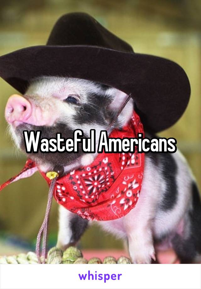 Wasteful Americans 