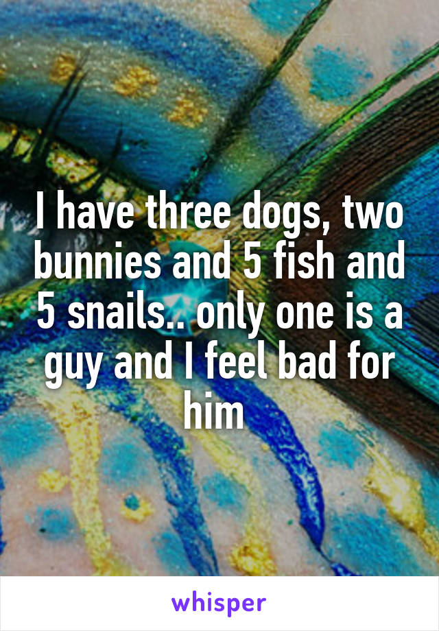 I have three dogs, two bunnies and 5 fish and 5 snails.. only one is a guy and I feel bad for him 