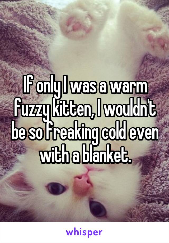 If only I was a warm fuzzy kitten, I wouldn't be so freaking cold even with a blanket.