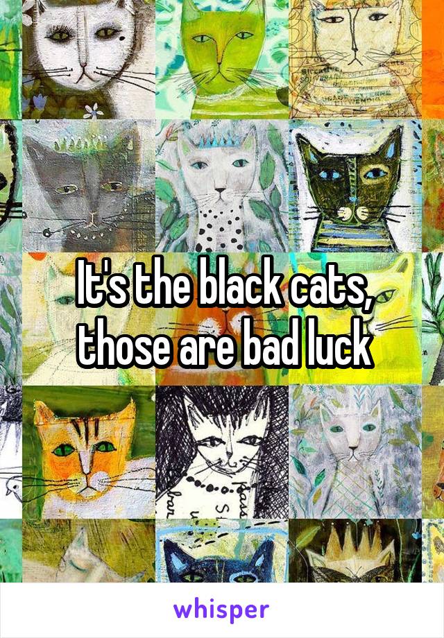 It's the black cats, those are bad luck