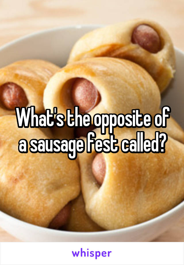 What's the opposite of a sausage fest called?