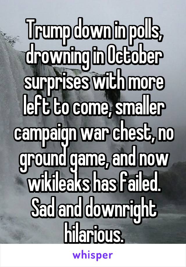 Trump down in polls, drowning in October surprises with more left to come, smaller campaign war chest, no ground game, and now wikileaks has failed.
Sad and downright hilarious.